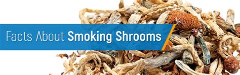 Smoking Shrooms How To Do It And What Are The Effects