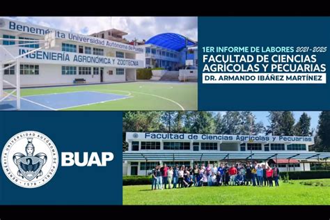 Cuánto Tiempo Tengo Para Titulación Después De Egresado Buap ️