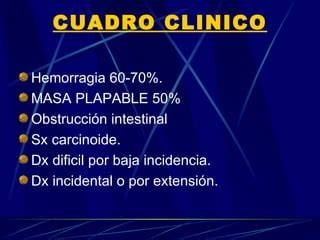 Cancer De Intestino Delgado Colon Y Recto PPT