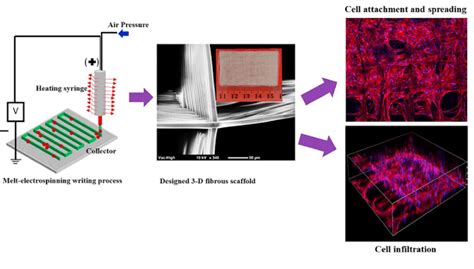 Schematic Illustration Of The Melt Electrospinning Writing Process And