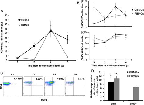 Ccr5 Expression Upon In Vitro Stimulation And Proliferation Is