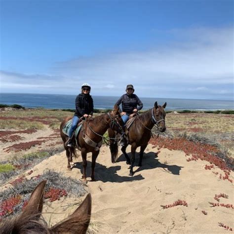 Beach Ride Five Brooks At Bodega Bay