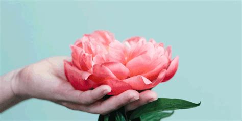 WTF Myths About Your Vagina That Couldn T Be More Untrue YourTango