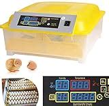 Top Best Egg Incubators In Reviews Incubator Warehouse