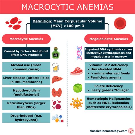 Causes And Classification Of Anemias Classical Hematology