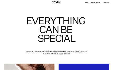 siteinspire wedge