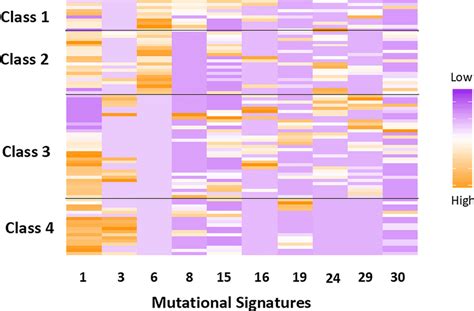 Recursively Partitioned Mixture Model Of Common Mutational Signature