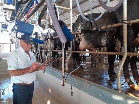 Controle Leiteiro Gir E Girolando 24 De Agosto Fazenda Cabeceira Do