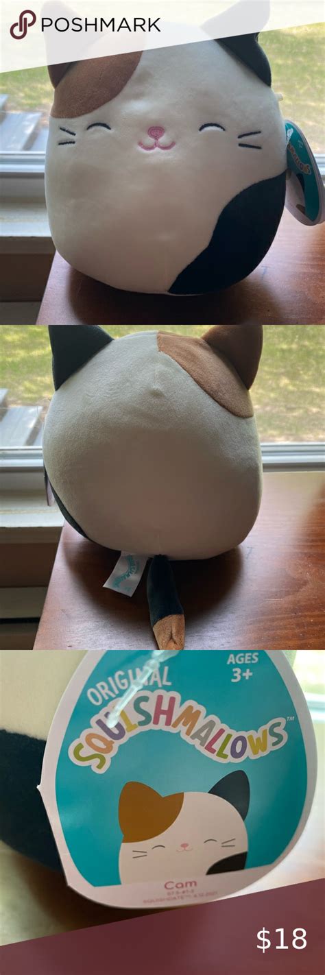 Squishmallows Cam The Calico Cat 8” Stuffed Plush In 2022 Calico Cat