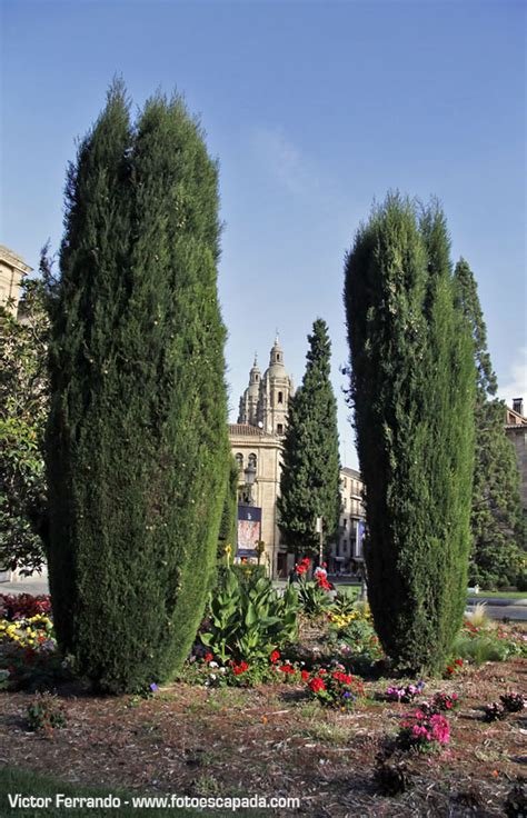 Qué ver en Salamanca en un fin de semana