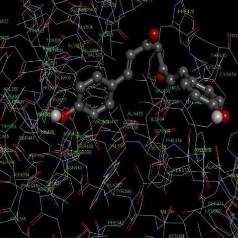 (A) CLUSTAL O (1.2.4) multiple sequence alignment | Download Scientific ...