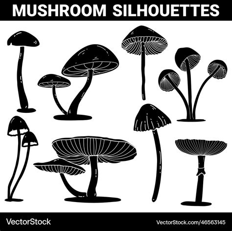 Mushroom Black Silhouette Set Royalty Free Vector Image