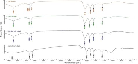 Ftir Spectra Of Zein Polymer Pure Zein Fiber Zein Fiber With Extract Download Scientific