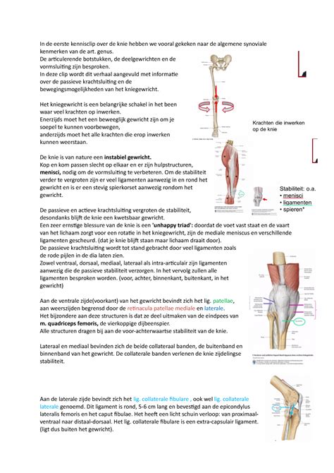 Kennisclip Knie 2 College Aantekeningen 1 5 In De Eerste Kennisclip