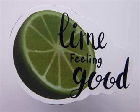 Citrus Pun Pack Lemon Sticker Lime Sticker Orange Sticker Etsy