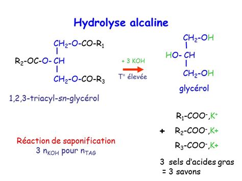 D Finitions Classification R Le Des Lipides