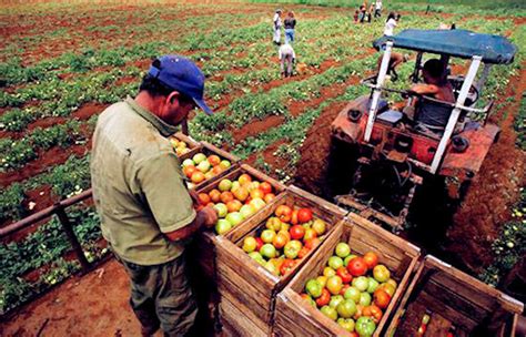 8 De Septiembre Día De La Agricultura Y Del Productor Agropecuario