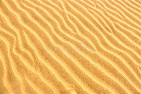 Texture Of Sand Dunes Stock Image Image Of Outdoor 142126165