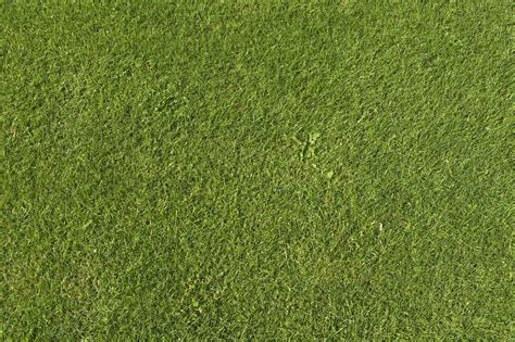 Grass texture seamless 4k - centralden