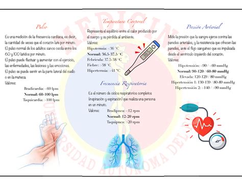 Tríptico Hola Temperatura Corporal Representa el equilibrio entre