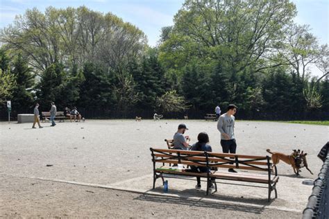 10 Best Dog Parks In New York Rifruf