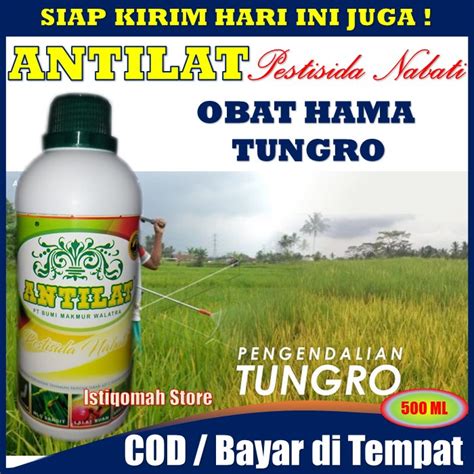 Jual ANTILAT 500ml Pestisida Nabati Insektisida Pembasmi Tungro Obat