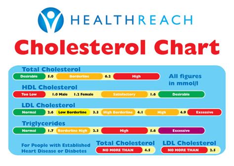 Managing Cholesterol in Seniors: What You Should Know - Blessed Home