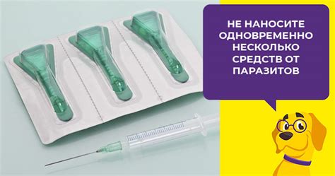 Капли Адвокат для собак: инструкция, аналоги, отзывы
