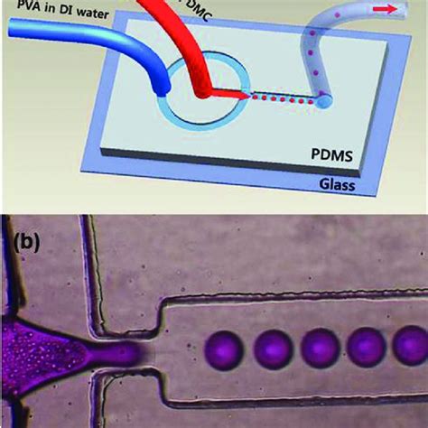 Plga Microspheres Fabrication Using A Microfluidic Flowfocusing Device Download Scientific