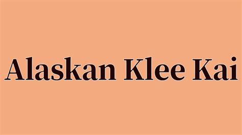 Alaskan Klee Kai Pronunciation And Meaning Youtube