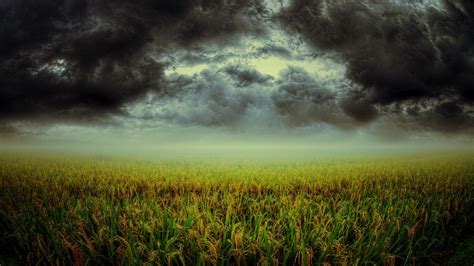 Fond d écran 1920x1080 px nuage des nuages foncé des champs vert