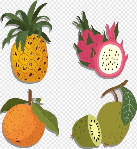 Frutas Png Pngwing