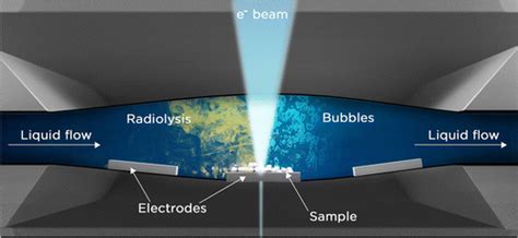 Electrochemical In Situ Liquid Cell Electron Microscopy National