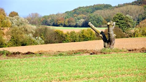 Biodiversit T In Der Landwirtschaft Praxis Agrar