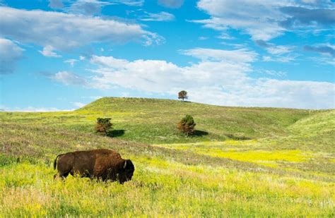moving  gay south dakota     relocating