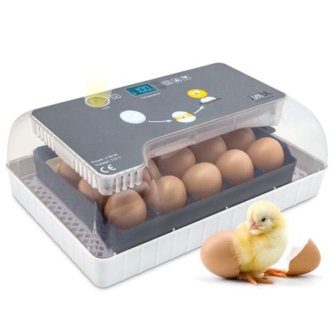 Jumbl Clear Egg Incubator Fully Automatic Digital Poultry Hatching