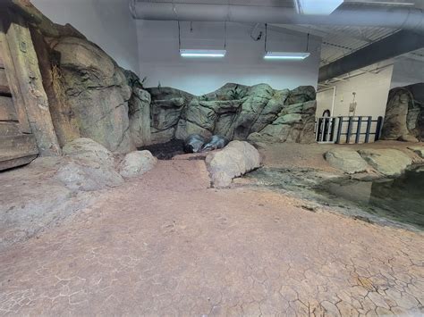 Greensboro 22023 Pygmy Hippo Indoor Space Zoochat
