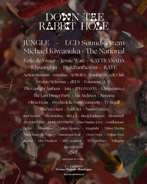 Nuevas Confirmaciones Del Down The Rabbit Hole 2024 Festis