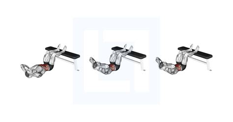 Roman Chair Sit Up Guide Benefits And Form