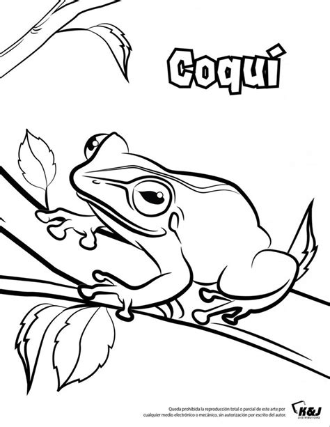 Coqu Para Colorear Coloring Pages Cute Coloring Pages Pencil