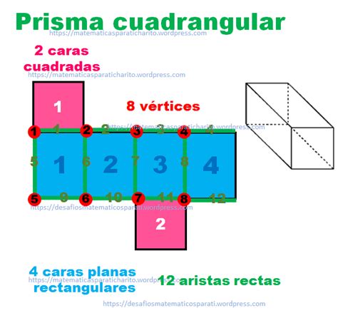 Descubriendo Las M Ltiples Facetas Del Prisma Cuadrangular Cu Ntas