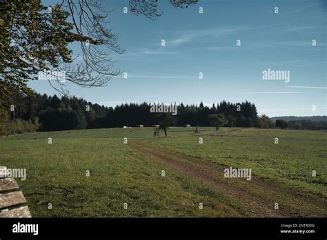 Meadow With Hiking Trail In Rhineland Palatinate View Over Field With