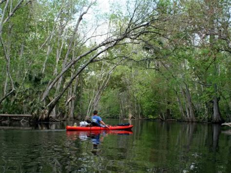 10 Mejores Cosas Para Hacer En Anna Maria Island Florida El Blog Del Viajero