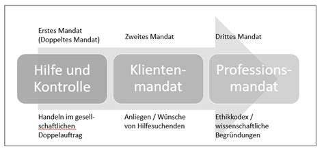 Die Systemistische Theorie Sozialer Arbeit Nach Silvia Staub Bernasconi