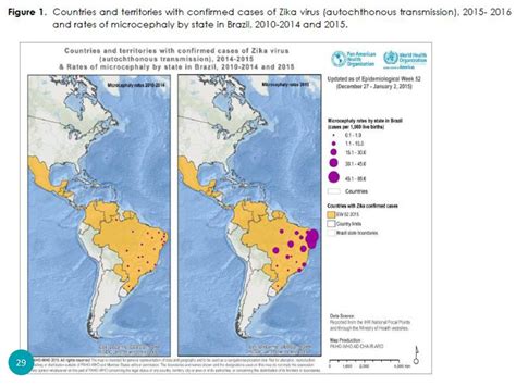 Zika Virus December 7 2016 Anna M Likos Md Mph Ppt Download