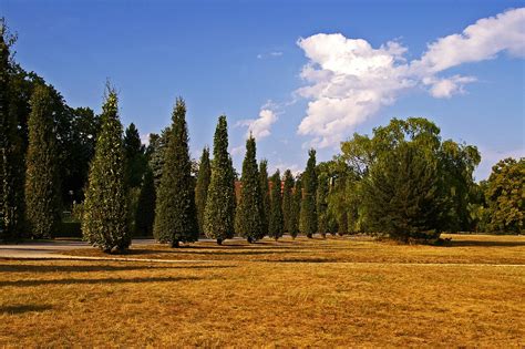 Danau Suci Potsdam Di Taman Baru Foto Gratis Di Pixabay Pixabay