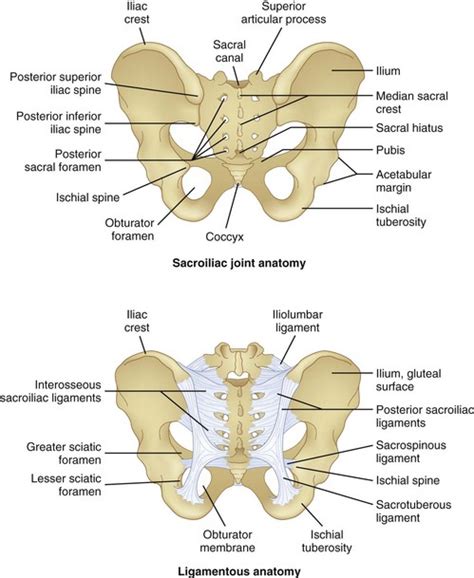 Sacroiliac Joint Injections And Lateral Branch Blocks Including Water