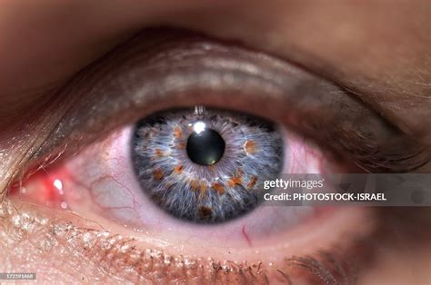 Human Eye High Res Stock Photo Getty Images