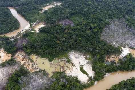 Wataniba AMAZONÍA SAQUEADA Primer mapa de minería ilegal en el