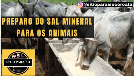 Sal Mineral Como Fazer Aprenda De Forma Simples A Preparar Para